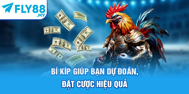 Bí kíp giúp bạn dự đoán, đặt cược hiệu quả