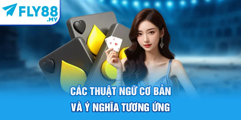 Các thuật ngữ cơ bản và ý nghĩa tương ứng
