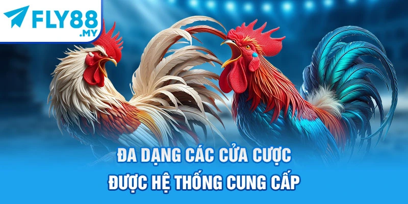 Đa dạng các cửa cược được hệ thống cung cấp