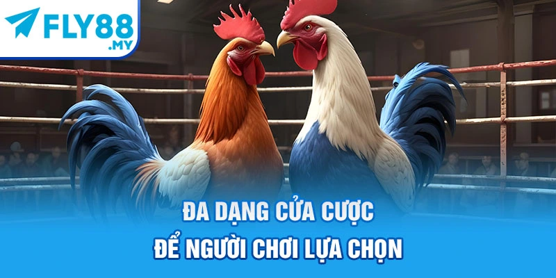 Đa dạng cửa cược để người chơi lựa chọn