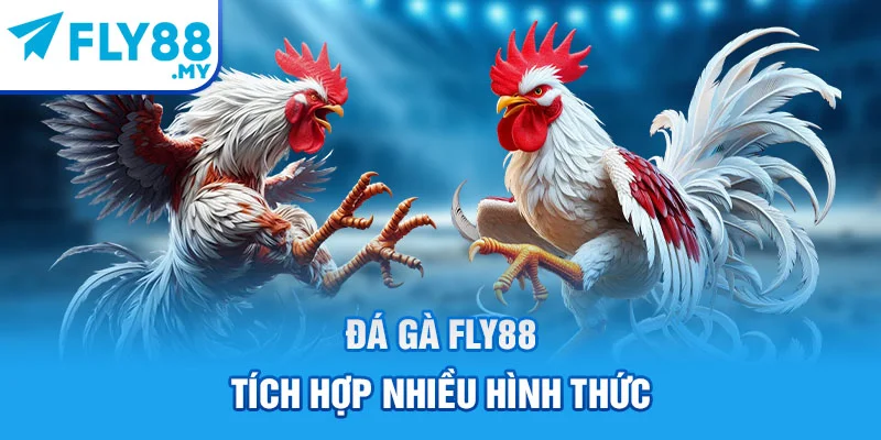 Đá gà FLY88 tích hợp nhiều hình thức