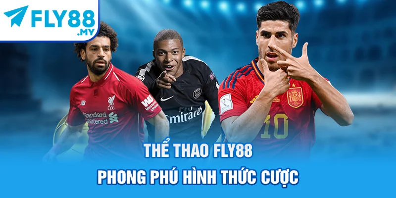 Thể thao FLY88 phong phú hình thức cược Thể thao FLY88 phong phú hình thức cược