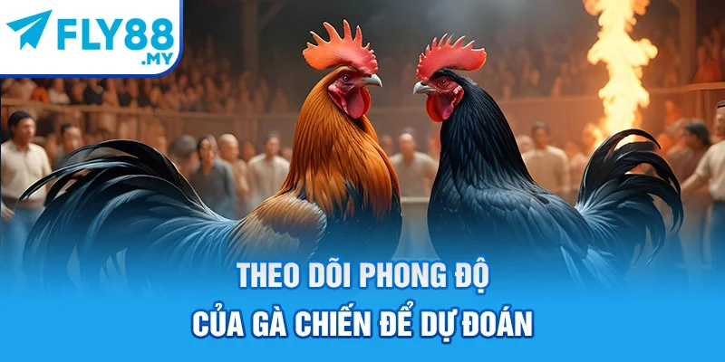 Theo dõi phong độ của gà chiến để dự đoán